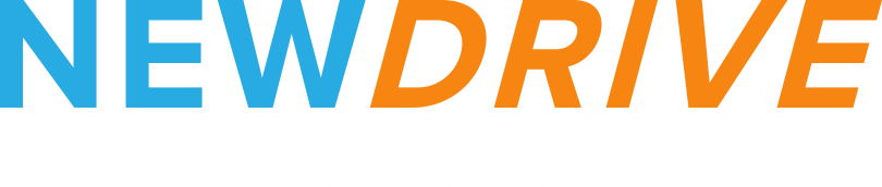NEWDRIVE analytics